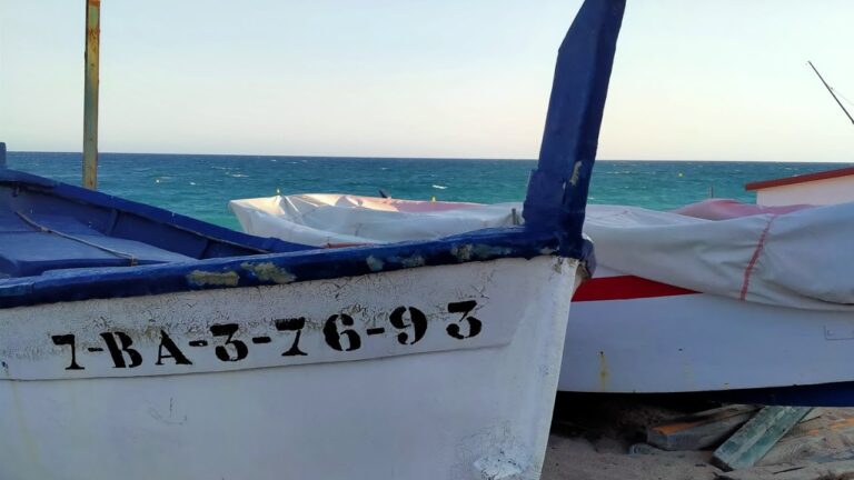 Estacionamiento gratuito en Pineda de Mar: ¿Dónde dejar el coche sin pagar?