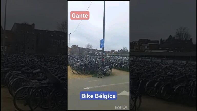 Consejos para Aparcar en Bélgica: Todo lo que Necesitas Saber