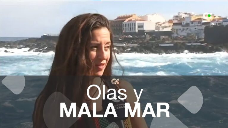 Optimización del aparcamiento en la Avenida Marítima de Tenerife