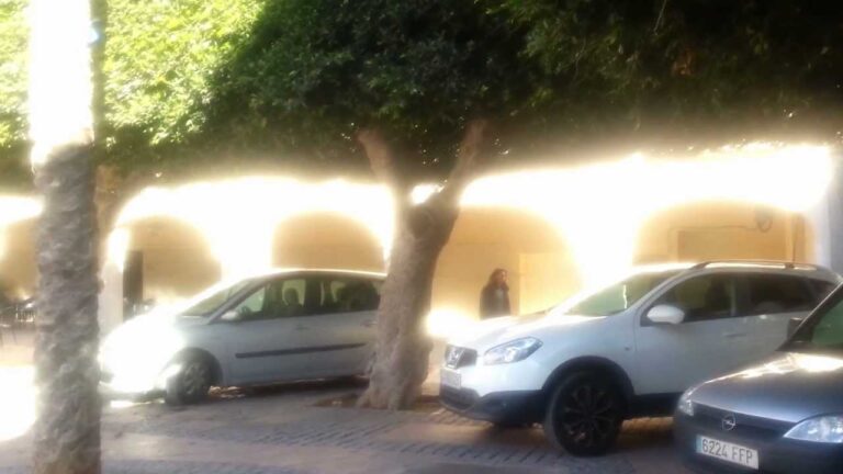 Trucos para aparcar gratis en Almería